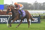 2017 Rosehill Guineas Results: Gingernuts Win