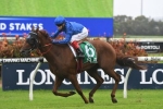 Raiment back to fillies grade in P J Bell Stakes