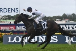 Williams new rider for She Will Reign in Moir Stakes