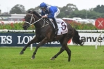 Winx runs best gallop in Turnbull Stakes lead up