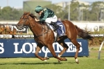 Capitalist will reappear in Roman Consul Stakes