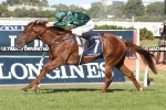 Capitalist Primed for Missile Stakes Following Strong Trial