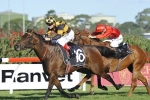 Griante Confirmed for Sapphire Stakes Start