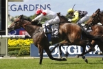 Southern Legend To The Paddock After The Sebring Win