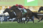 Sapphire Stakes An Option For Sultry Feeling After Birthday Card Stakes Win Sapphire Stakes An Option For Sultry Feeling After Birthday Card Stakes Win