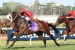 Group 1 Targets Remain on Tarzino’s Radar Group 1 Targets Remain on Tarzino’s Radar