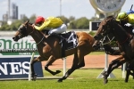 Vergara Makes All In Epona Stakes Vergara Makes All In Epona Stakes