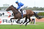 Contributer Could Miss Autumn Racing Carnival Contributer Could Miss Autumn Racing Carnival