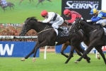 Peeping Posts Impressive Win in The Sebring Peeping Posts Impressive Win in The Sebring