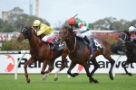 Real Impact Takes Out 2015 George Ryder Stakes In Australian Debut Real Impact Takes Out 2015 George Ryder Stakes In Australian Debut