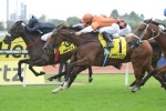 Scratchy Bottom Takes Out Epona Stakes