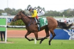The Championships Beckon for Birthday Card Stakes Winner Shamalia The Championships Beckon for Birthday Card Stakes Winner Shamalia