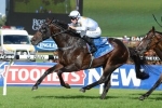 Waterhouse Tells Punters To Just Back Vancouver In 2015 San Domenico Stakes