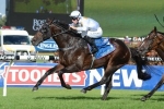 2016 Golden Slipper nominations up on previous years 2016 Golden Slipper nominations up on previous years