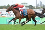 Logan hoping for 1st 3 finish for Volkstok’N’Barrell in Hollindale Stakes