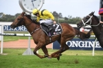 Addeybb proves too classy for rivals to win 2020 Ranvet Stakes