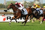 Earthquake Maintains Golden Slipper Favouritism With Reisling Stakes Win