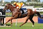 Distance Test For Entirely Platinum In Mornington Cup