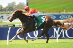 Kencella Leads All The Way In McCarten Stakes Kencella Leads All The Way In McCarten Stakes