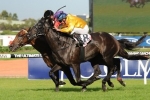 Eight Group 1 Winners Included In The BMW Nominations Eight Group 1 Winners Included In The BMW Nominations