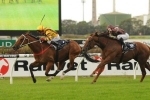 Steps In Time Scores Brave Win In 2014 Coolmore Classic