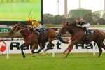 Steps In Time To Take Up Running In Tattersall’s Tiara Steps In Time To Take Up Running In Tattersall’s Tiara