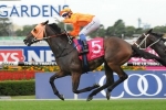 Traitor Beats Guelph In Phar Lap Stakes Traitor Beats Guelph In Phar Lap Stakes