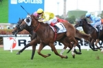 Payne Happy With Criterion Ahead Of Randwick Guineas Payne Happy With Criterion Ahead Of Randwick Guineas