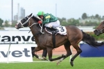 Waller Hoping To Score Surprise Win In Ranvet Stakes 2014