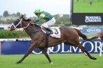 Waller Happy With 2015 Dato’ Tan Chin Nam Stakes Duo Waller Happy With 2015 Dato’ Tan Chin Nam Stakes Duo