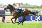 Waterhouse Disappointed With Overreach Waterhouse Disappointed With Overreach