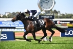Midterm passes staying test to win N E Manion Cup on his way to the Sydney Cup