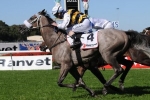 Manighar to line up in George Ryder Stakes