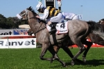 Manighar to line up in George Ryder Stakes Manighar to line up in George Ryder Stakes