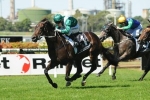 Samaready To Return In The Heath 1100 Stakes Samaready To Return In The Heath 1100 Stakes