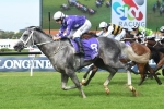 Theo Marks Stakes is Epsom Handicap lead up for D’Argento