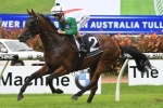 Australian Derby Likely For Jon Snow After Tulloch Stakes Win