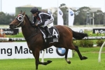 Bell hoping for rain to give Jungle an Edge in Stradbroke Handicap