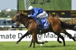 Articus out of A.D. Hollindale Stakes Articus out of A.D. Hollindale Stakes