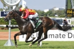 Malaguerra among the nominations for All  Aged Stakes