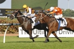 2016 The BMW Results: Preferment Wins Fourth Group 1 2016 The BMW Results: Preferment Wins Fourth Group 1