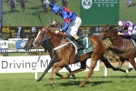 Single Gaze Wins Heartbreaking 2017 PJ O’Shea Stakes Single Gaze Wins Heartbreaking 2017 PJ O’Shea Stakes