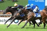 Excess Knowledge No Doncaster Mile Certainty After Prelude Win Excess Knowledge No Doncaster Mile Certainty After Prelude Win