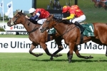 Fenway to be vet checked before Australian Oaks Fenway to be vet checked before Australian Oaks