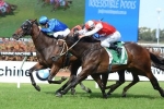Generalife gives McDonald a treble with Star Kingdom Stakes win Generalife gives McDonald a treble with Star Kingdom Stakes win