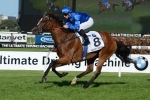 Godolphin Duo Fare Well In Cox Plate Barrier Draw