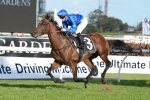 Godolphin Prominent in Early 2016 Doomben Cup Betting