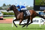 Money For Medcaut In Carrington Stakes Betting Money For Medcaut In Carrington Stakes Betting
