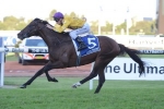Toowoomba Cup Likely for Pornichet Toowoomba Cup Likely for Pornichet