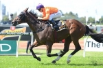 Takedown Thriving Ahead Of Champagne Stakes